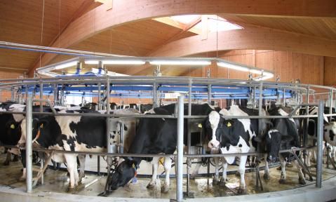 Milcherzeuger stärken statt Vertragsfreiheit einschränken
