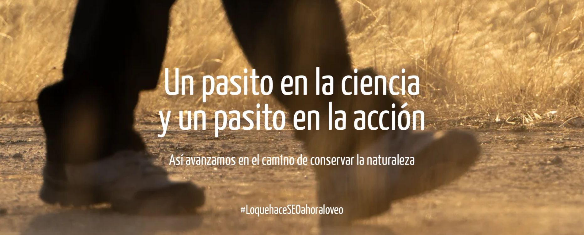 Somos Ciencia, Somos Acción