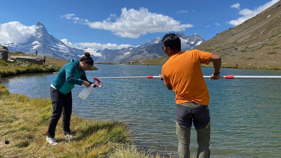 Alpine bacteria show unexpected ability to fight viruses
