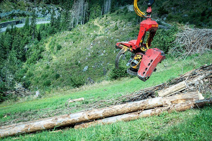Schutzschild Wald: Tirols natürliche Sicherheitsinfrastruktur