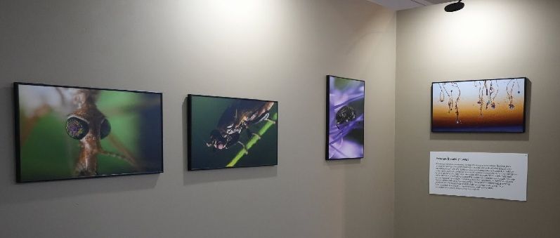 Nová výstava v Galerii Cyrila Boudy ukazuje Kladno devíti různými pohledy kladenských fotografů