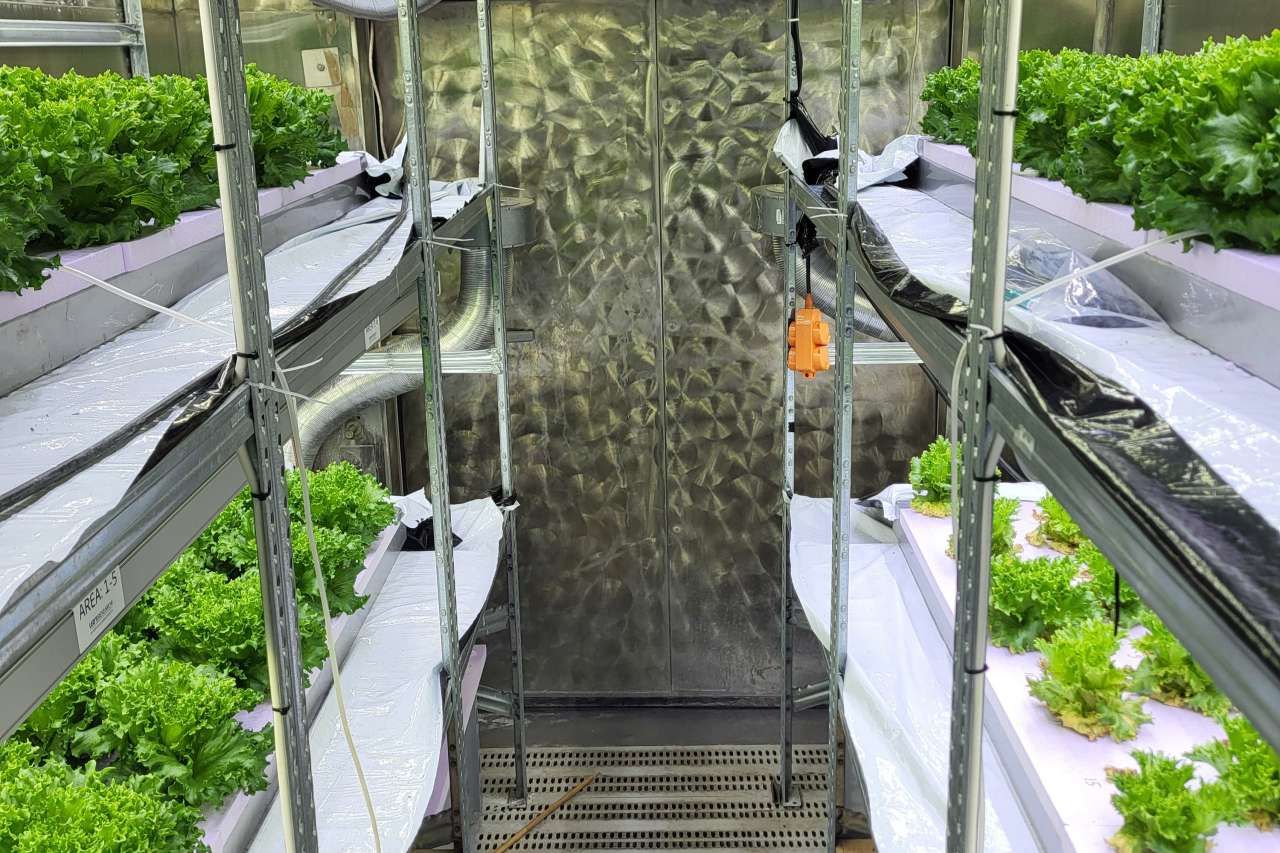 Vertikalt landbruk åpner for nye muligheter i norsk planteproduksjon