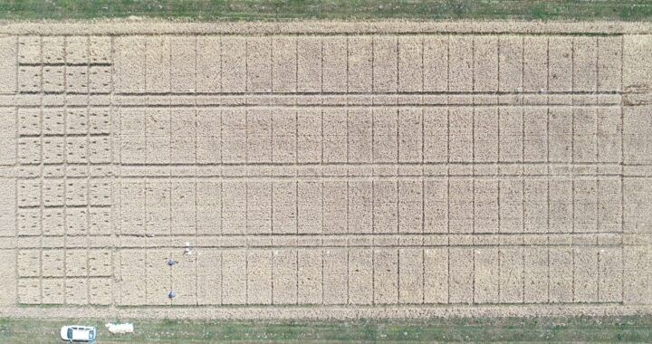 Den otevřených dveří na farmě Václava Velety, Lukavec, 8. 10. 2026
