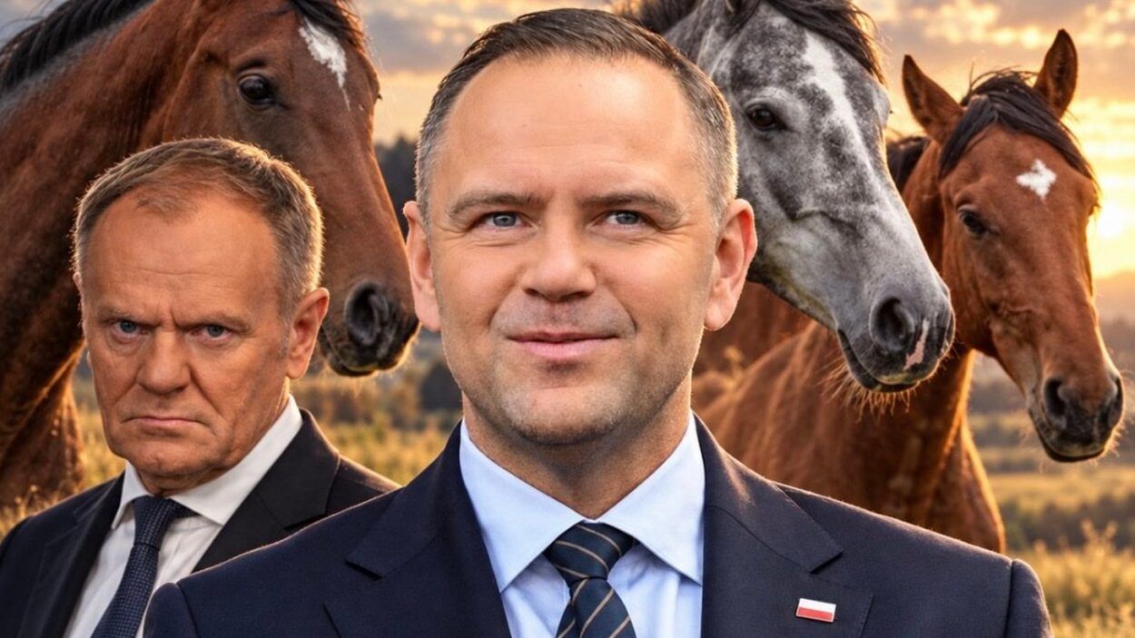 Donald Tusk i jego ministrowie zajmują się… końmi prezydenta