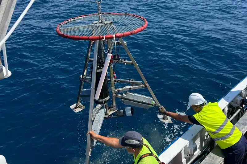 AZTI prueba un sistema para observar la fauna del fondo marino e identificarla mediante inteligencia artificial