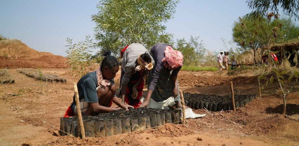 Hulpverlener Placidia ziet El Niño op Ethiopië afkomen: “We kunnen nu al zoveel doen”