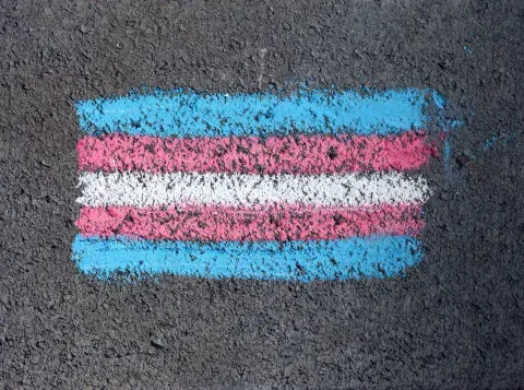 Menselijk leed door oude transgenderwet in kaart gebracht in rapport ‘Een onmenselijke wet’