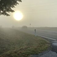 ÖAMTC Fahrtechnik warnt: Herbst bringt wieder rutschige Straßen und Nebel