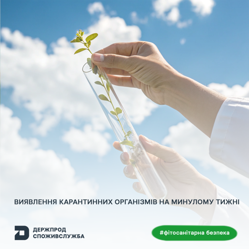 Фітосанітарна безпека: 8112 фітосанітарних сертифікатів оформлено минулого тижня
