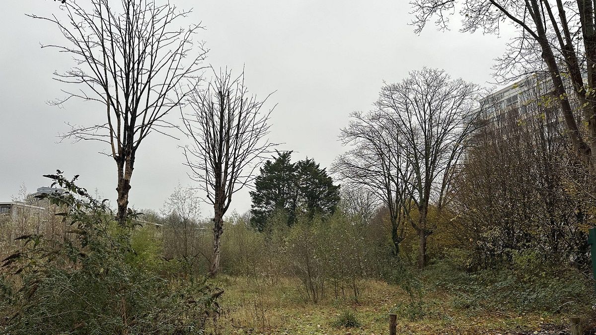 Tarwekamp 3: onderhoud en tijdelijke activiteiten