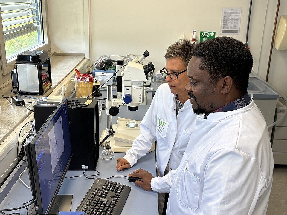 Alexander-von-Humboldt-Stipendium Prof. Dr. Akinleye Stephen Akinrinde forscht an der HHU