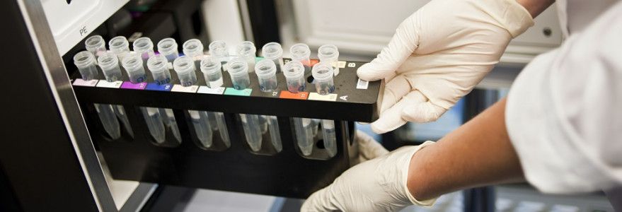 Wymywanie chromu z produktów skórzanych
