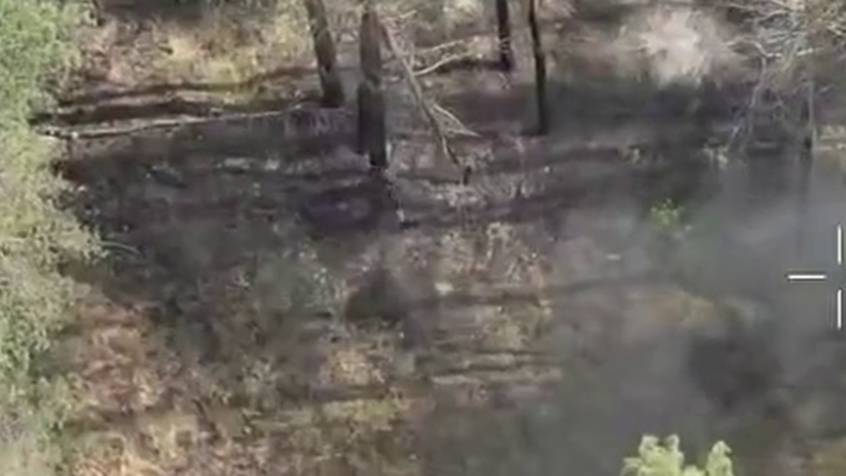 (ВІДЕО) На Півдні прикордонники виявили окупантів, що блукали в лісах Херсонщини