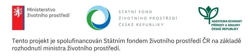 Lesy ČR odborně ošetřily památný Panuškův dub u Kochánova
