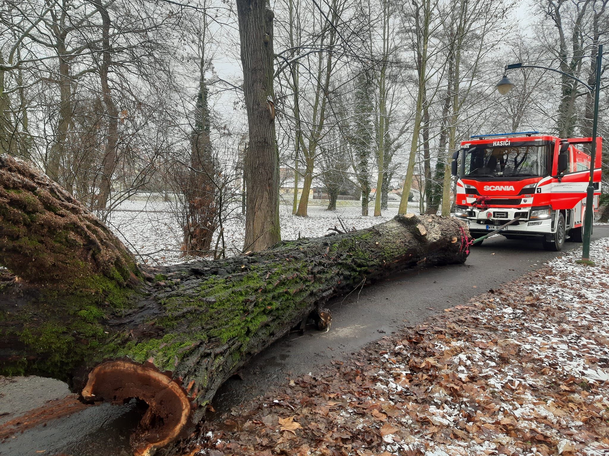 Město Nymburk vybralo projektanta pro obnovu parku Ostrov – I. etapa