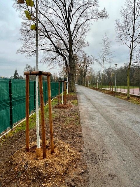 Revitalizace zeleně v Kovanické ulici byla dokončena