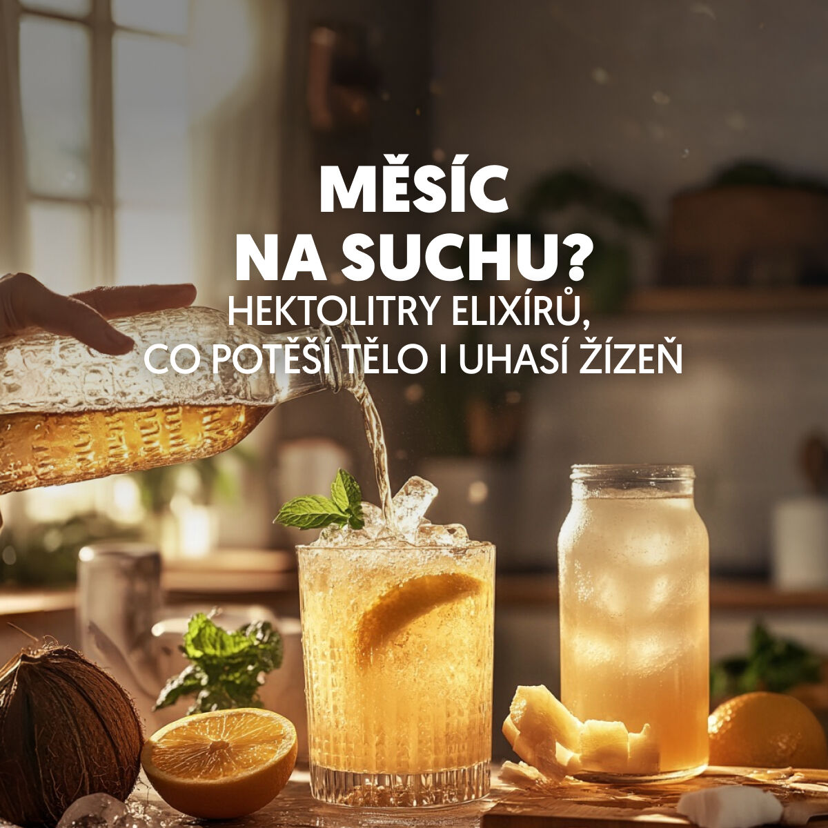 Suchý únor? To není pro Rohlík žádný problém! Češi si oblíbili nealko vína, prémiové limonády i fermentované elixíry