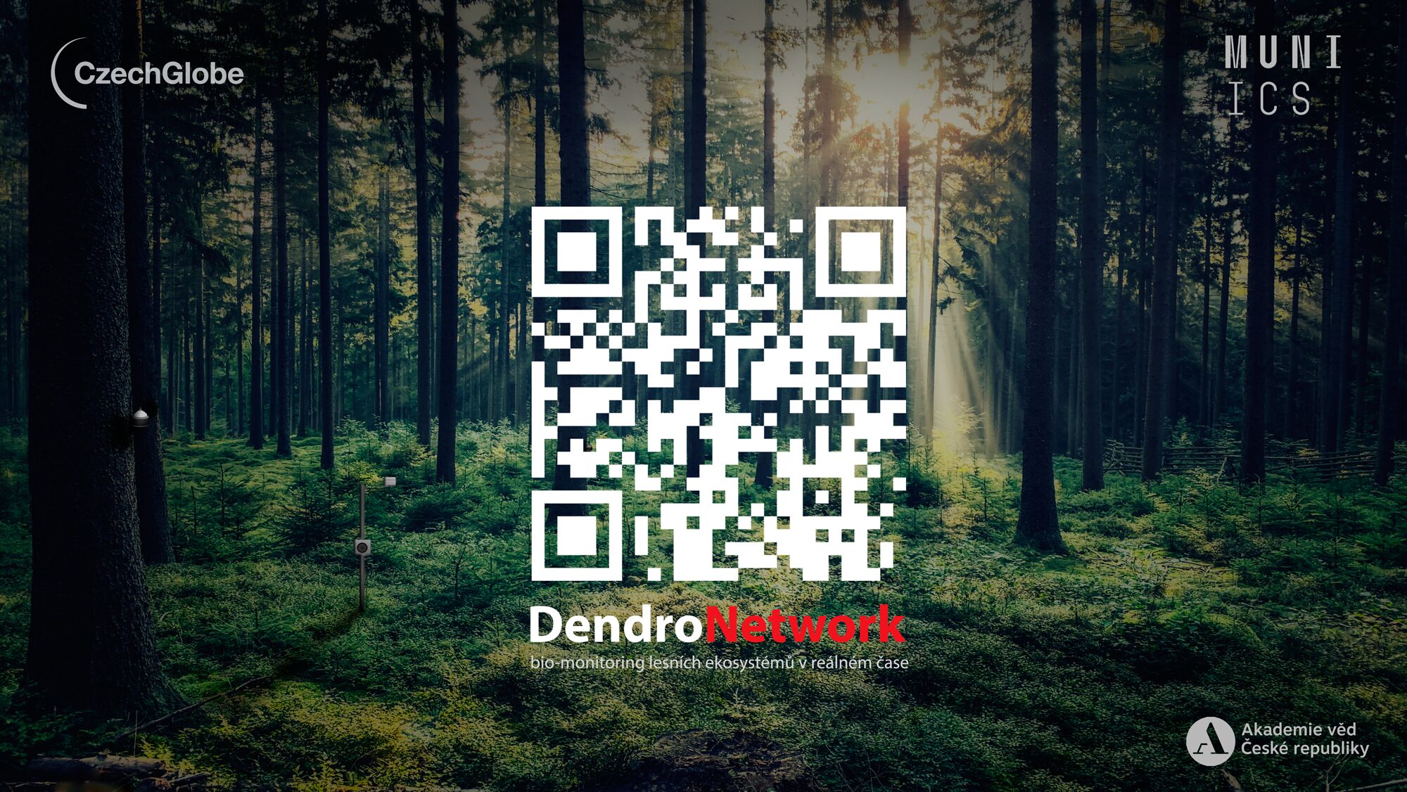 Česká republika má nový systém poskytující podrobné informace o stavu lesních ekosystémů v reálném čase – DendroNetwork