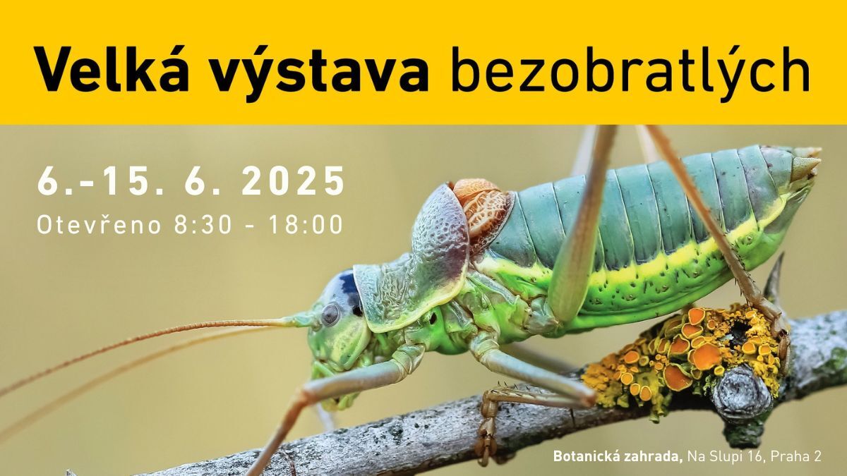 Velká výstava bezobratlých 2025: živí tvorové, které jen tak neuvidíte